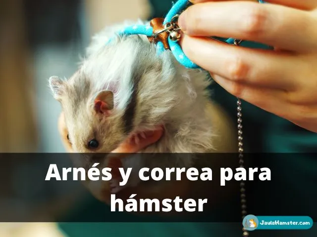 Tendencia controvertida Arnés y correa para hámster