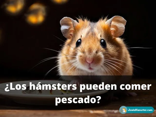 Los hámsters pueden comer pescado