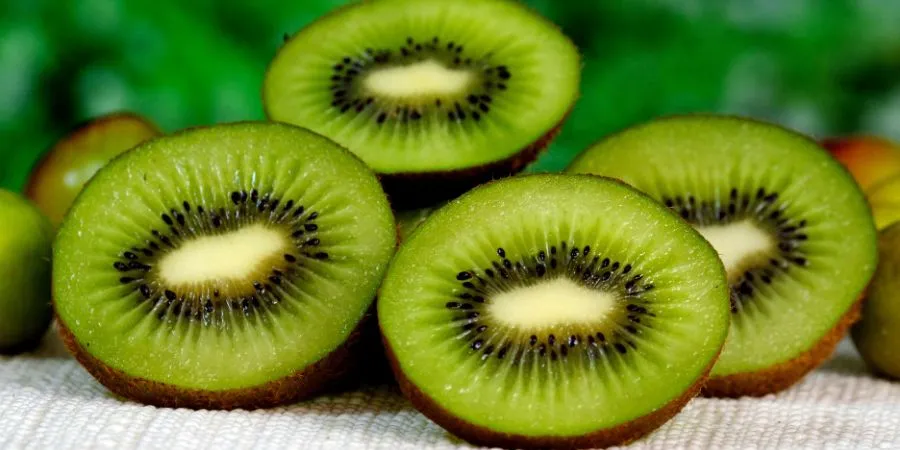 Beneficios del kiwi para los hámsters