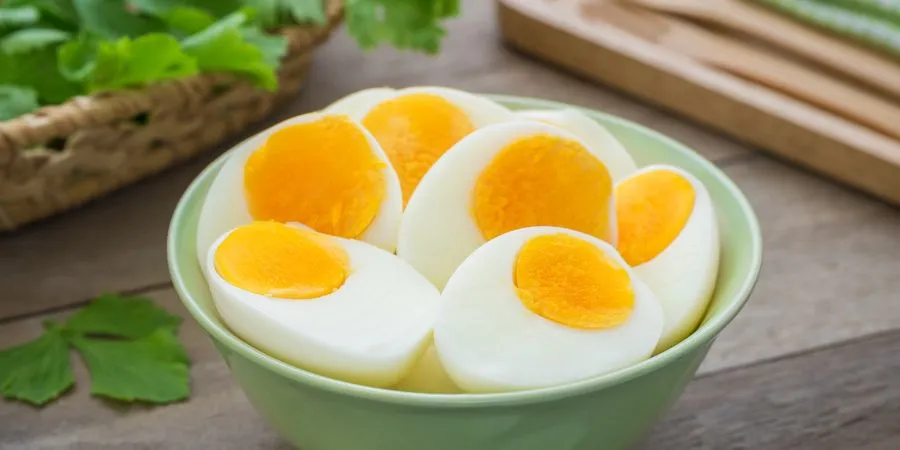 Los hámsters pueden comer huevo duro